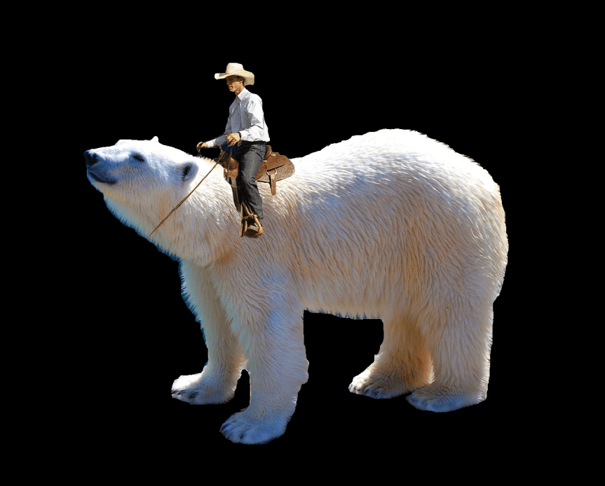 polar-bear-black-background